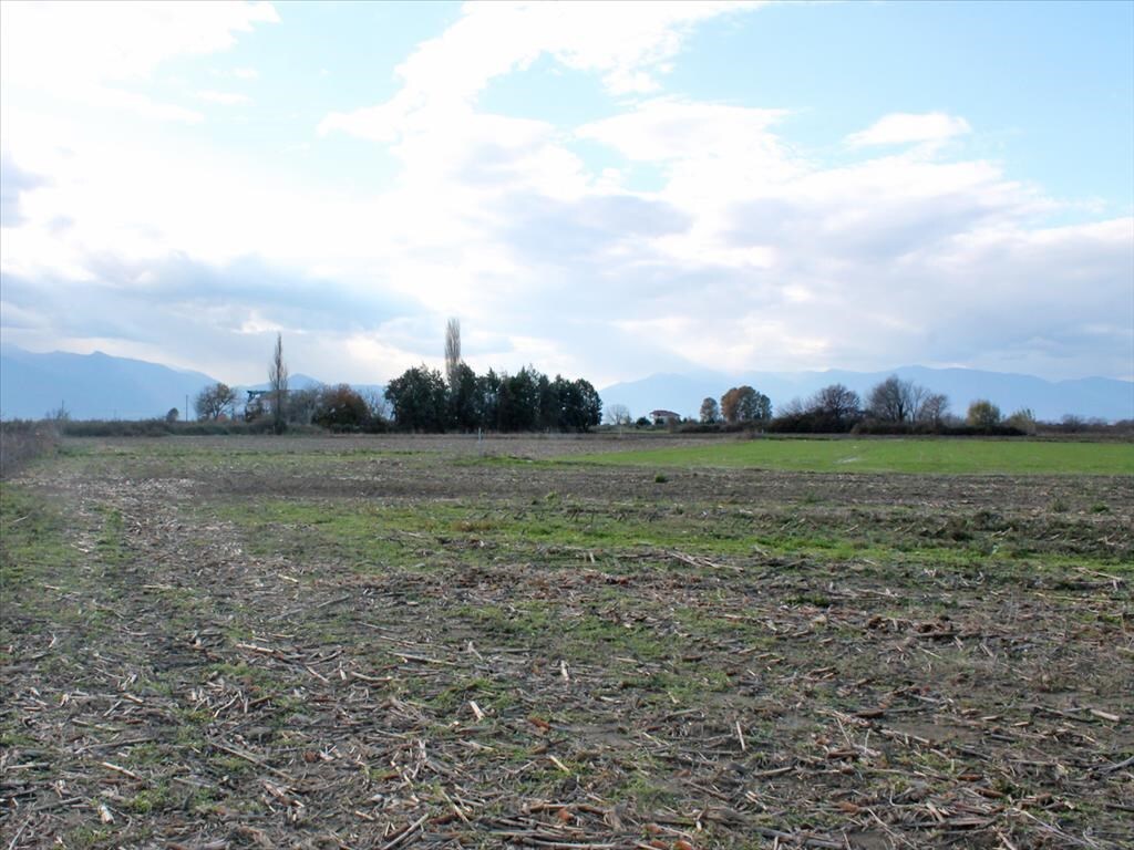 Продажа - Земельный участок 8500 m² на Олимпийской Ривьере