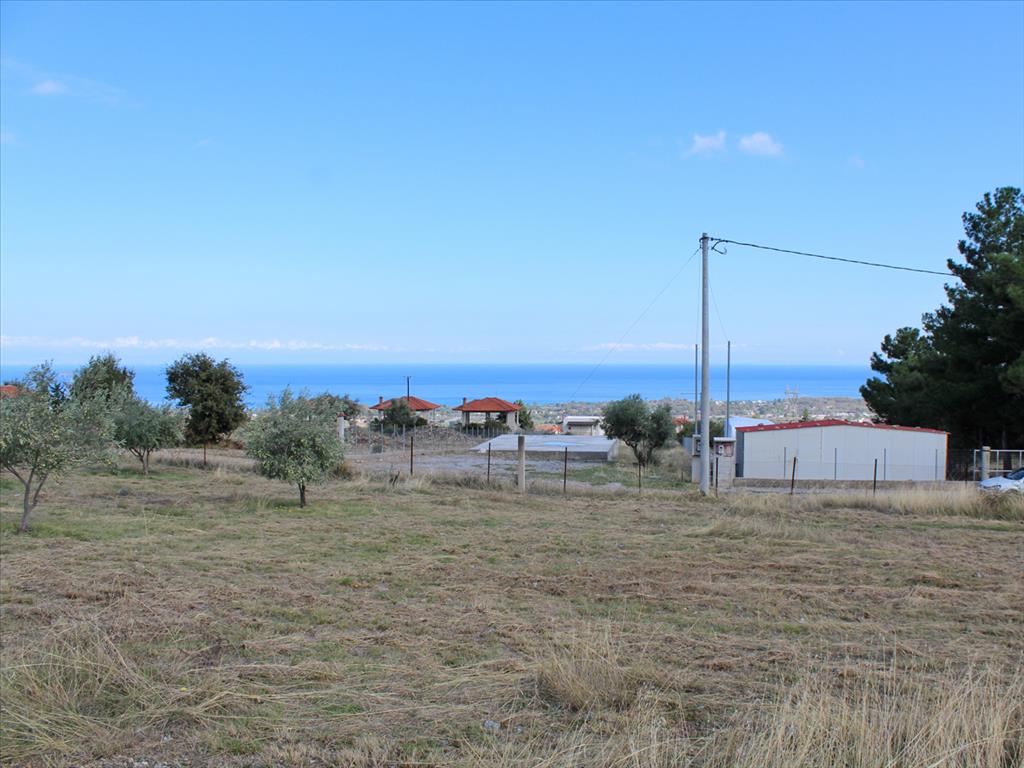 Продажа - Земельный участок 4750 m² на Олимпийской Ривьере