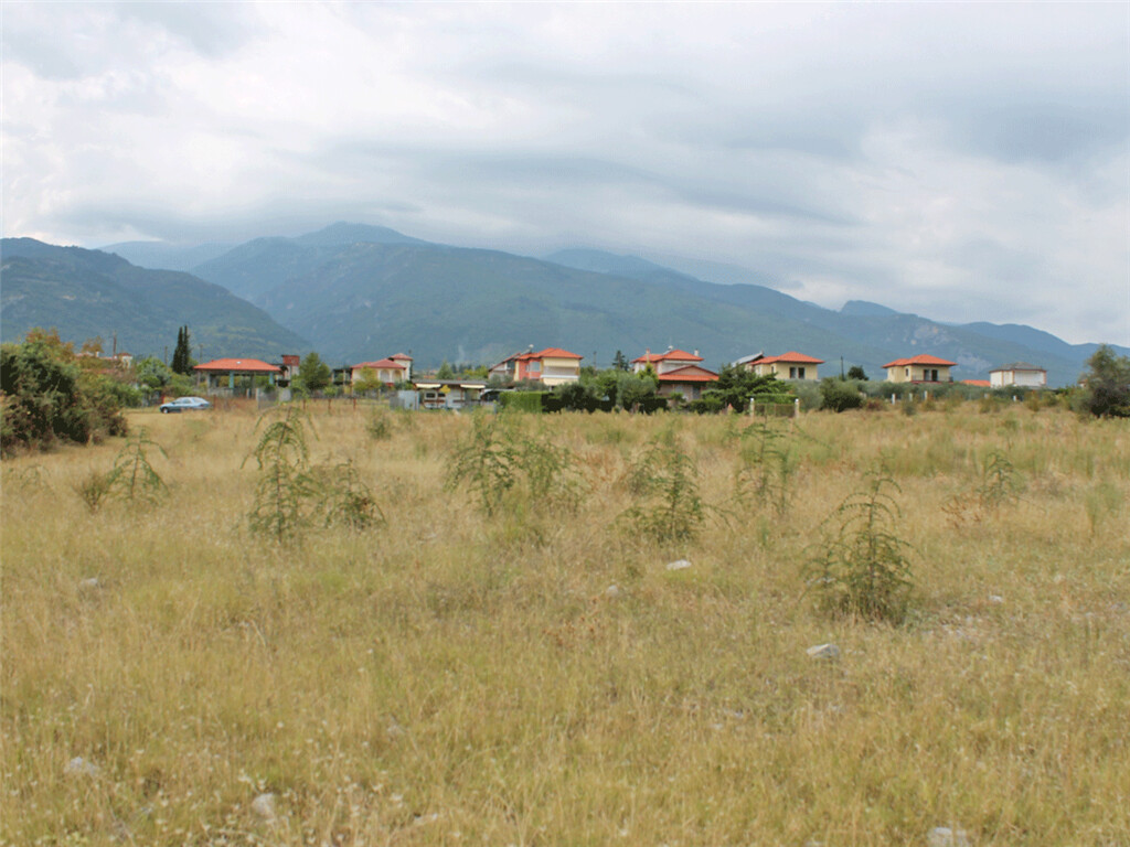 Продажа - Земельный участок 12179 m² на Олимпийской Ривьере