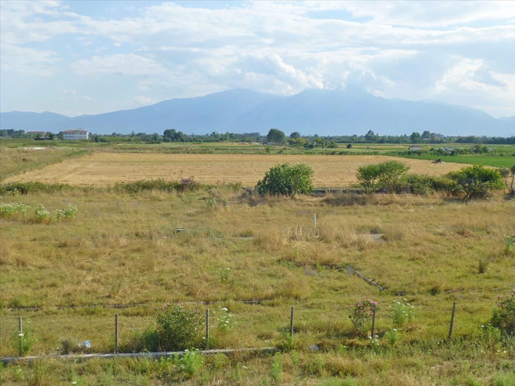 Продажа - Земельный участок 4797 m² на Олимпийской Ривьере