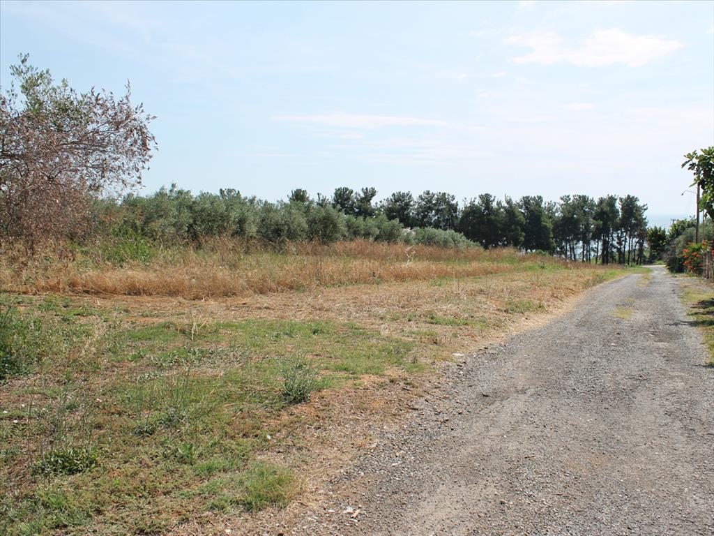 Продажа - Земельный участок 5000 m² на Олимпийской Ривьере