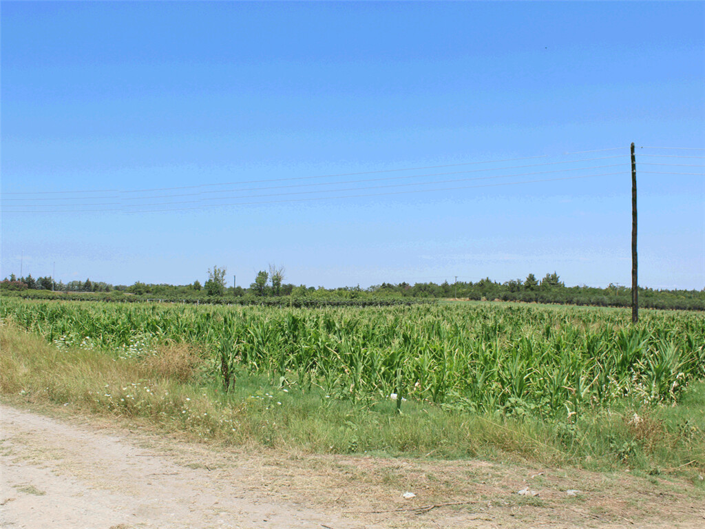 Продажа - Земельный участок 6830 m² на Олимпийской Ривьере