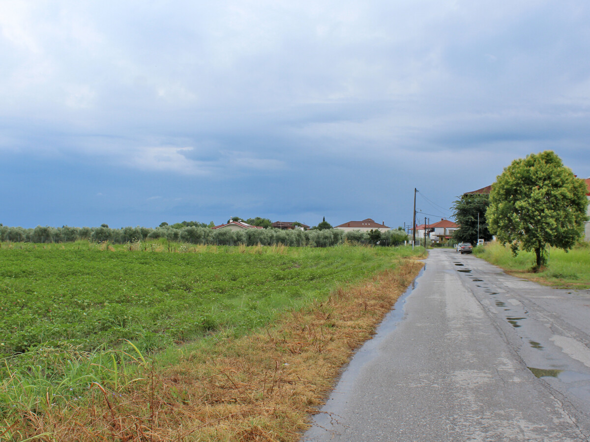 Продажа - Земельный участок 6250 m² на Олимпийской Ривьере