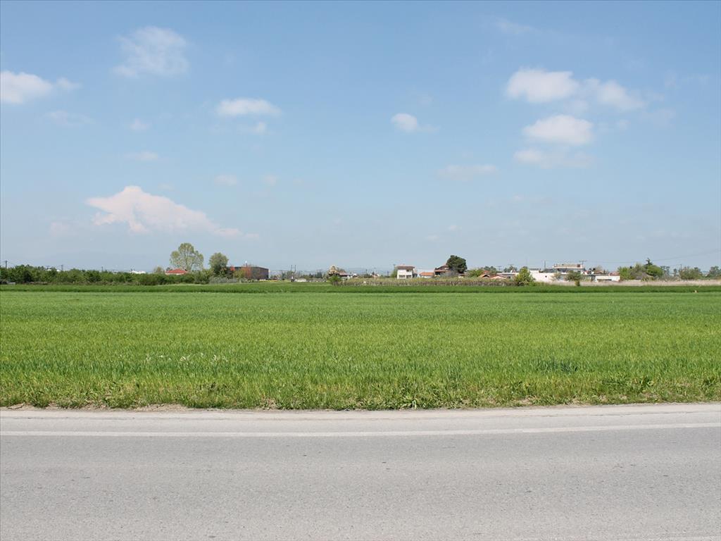 Продажа - Земельный участок 4500 m² на Олимпийской Ривьере