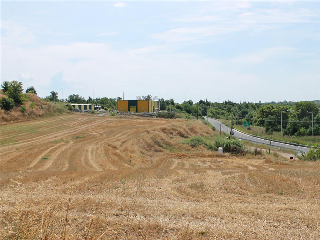 Продажа - Земельный участок 7000 m² на Олимпийской Ривьере