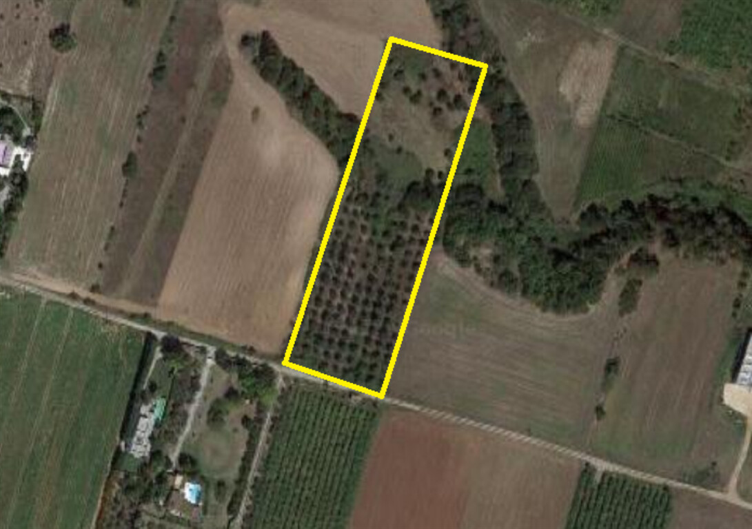 Продажа - Земельный участок 11580 m² на Олимпийской Ривьере