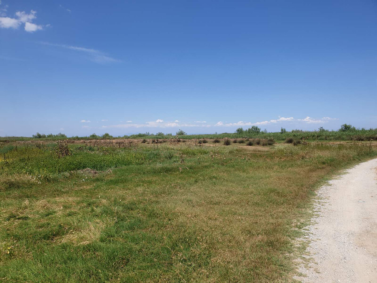 Продажа - Земельный участок 12955 m² на Олимпийской Ривьере