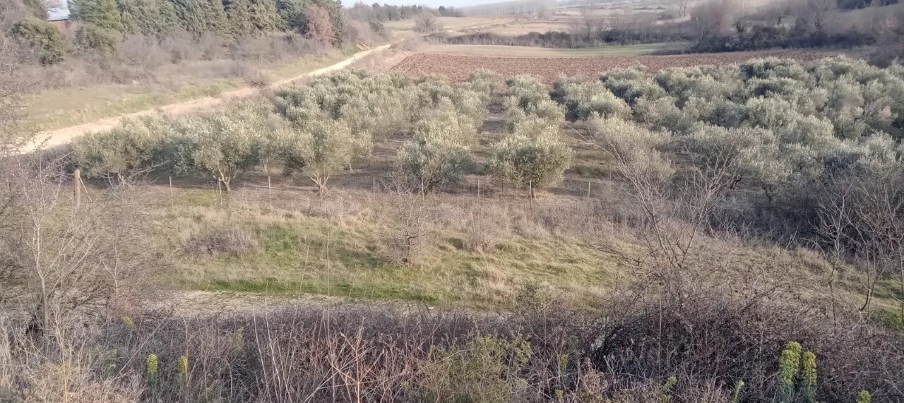 Продажа - Земельный участок 4400 m² в пригороде Кавалы