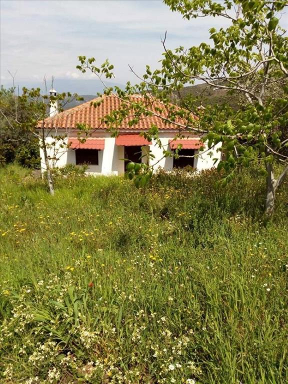 Продажа - Коттедж 60 m² в центральной Греции