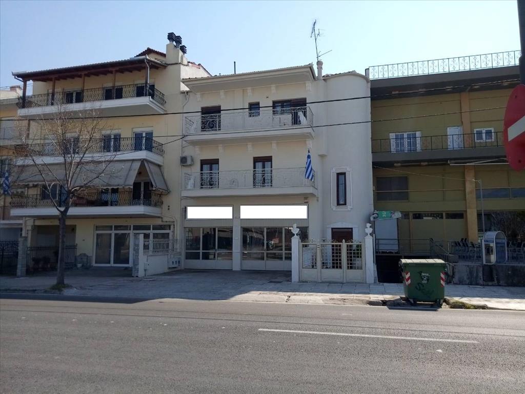 Продажа - Бизнес 173 m² в центральной Греции