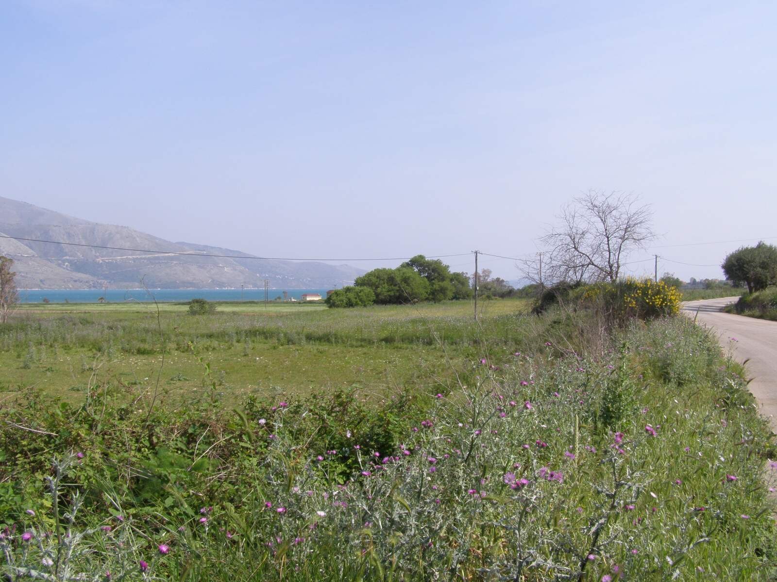 Продажа - Земельный участок 14000 m² в Кефалонии