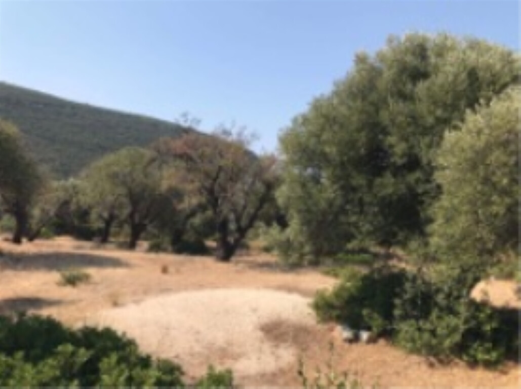 Продажа - Земельный участок 13650 m² на Ионических островах