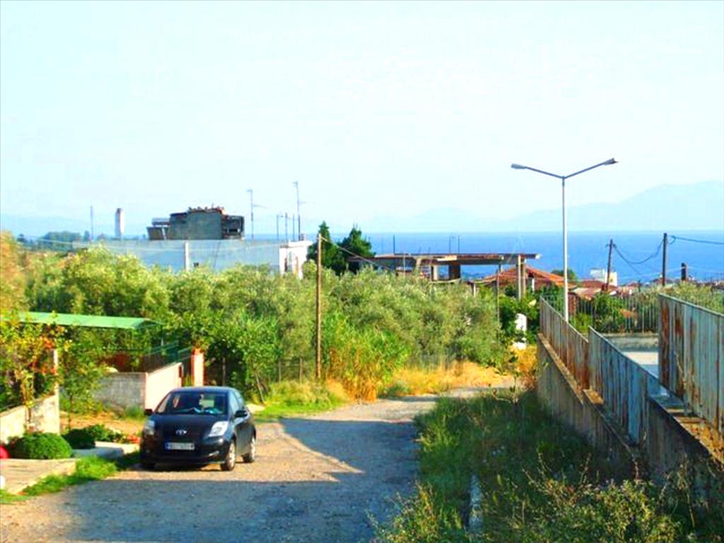 Продажа - Земельный участок 1400 m² в Волосе-Пилио