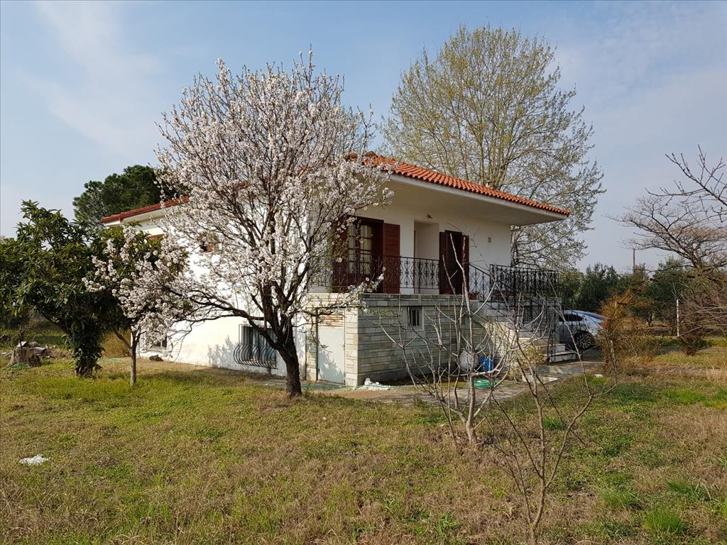 Продажа - Коттедж 190 m² на Ситонии (Халкидики)