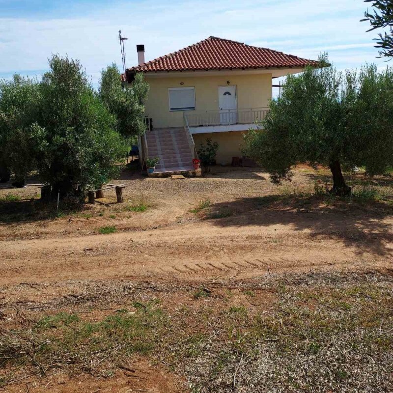 Продажа - Коттедж 150 m² в Халкидиках
