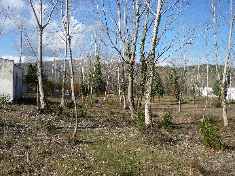 Продажа - Коммерческое помещение 262 m² на Афоне (Халкидики)