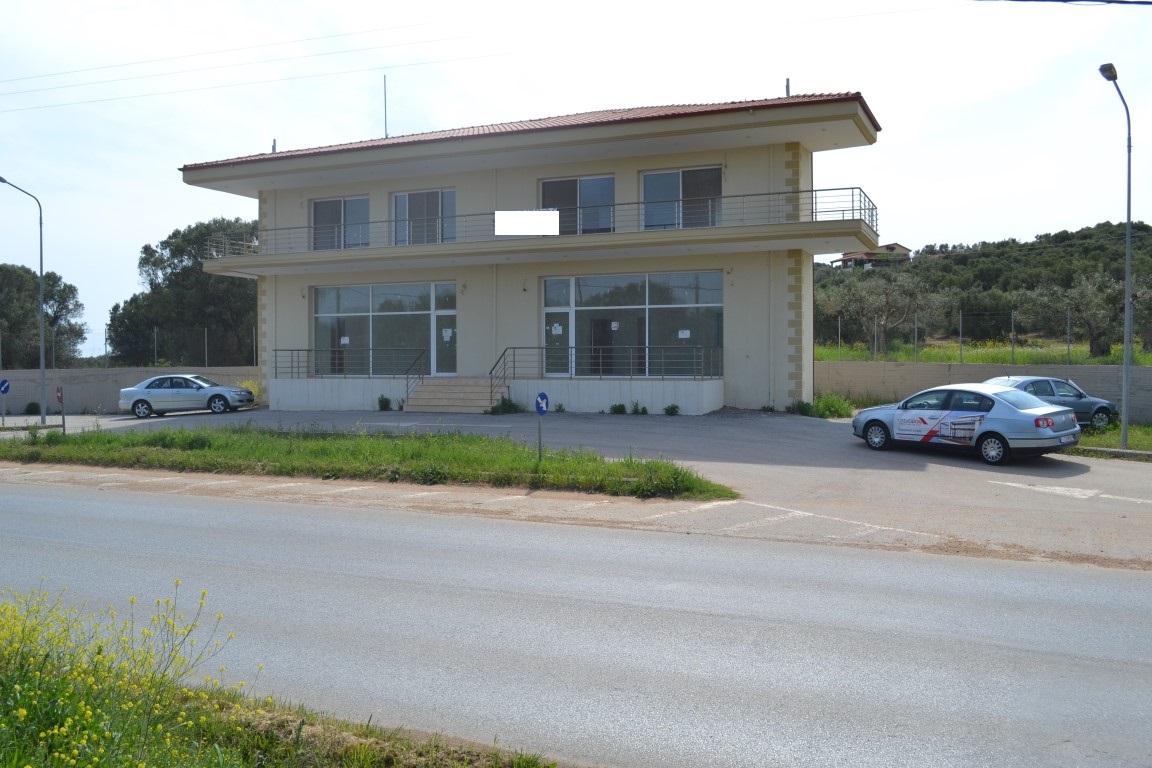 Продажа - Бизнес 400 m² в Халкидиках