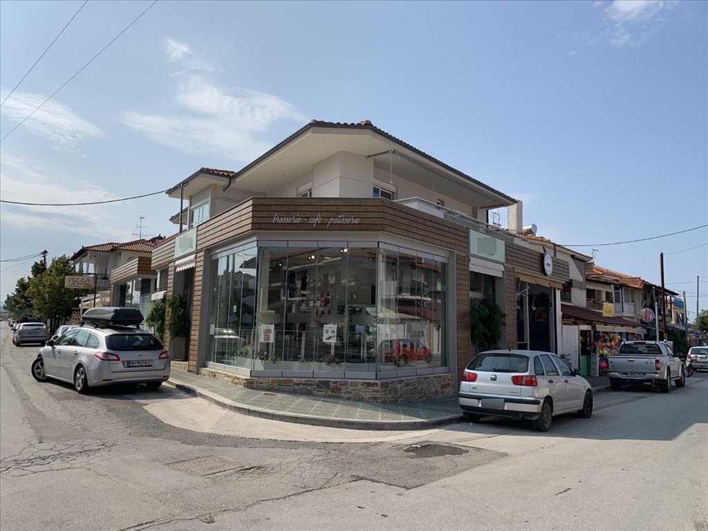 Продажа - Бизнес 580 m² на Ситонии (Халкидики)