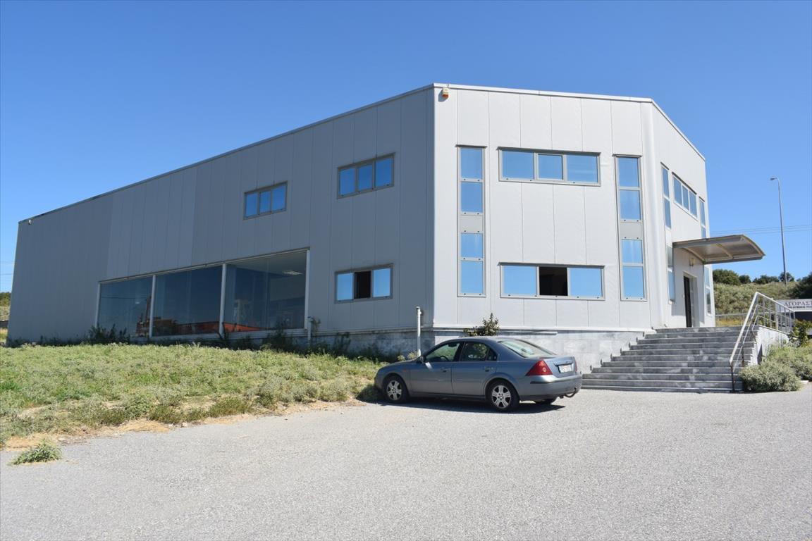 Продажа - Бизнес 800 m² в Халкидиках
