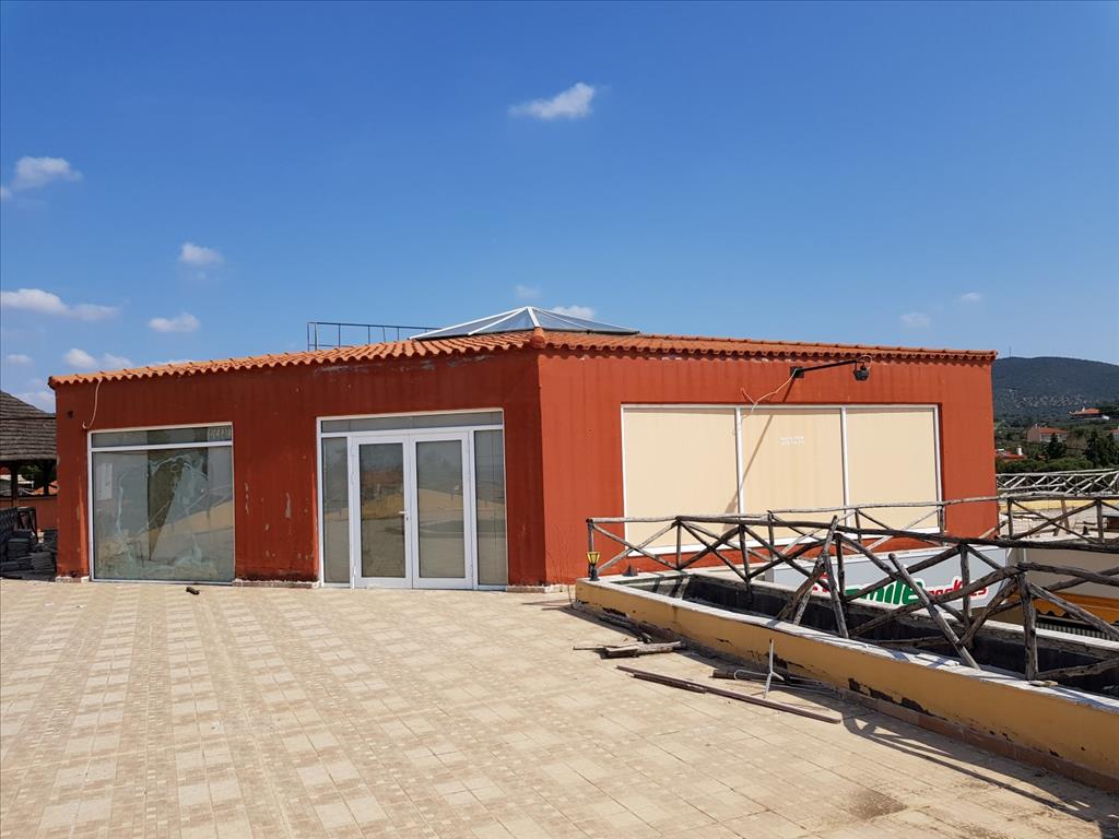 Продажа - Бизнес 330 m² на Ситонии (Халкидики)