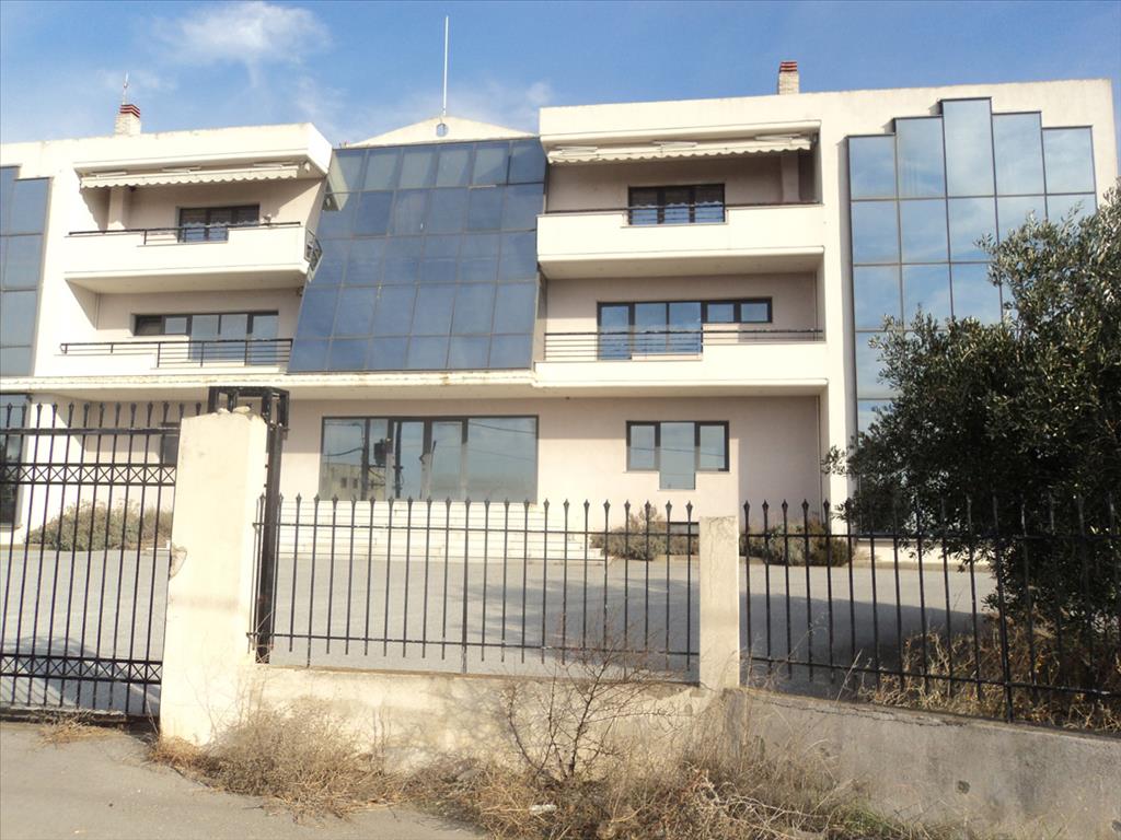 Продажа - Бизнес 5230 m² в Халкидиках