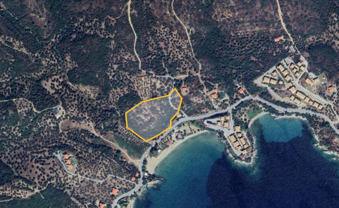 Продажа - Земельный участок 15250 m² на Афоне (Халкидики)