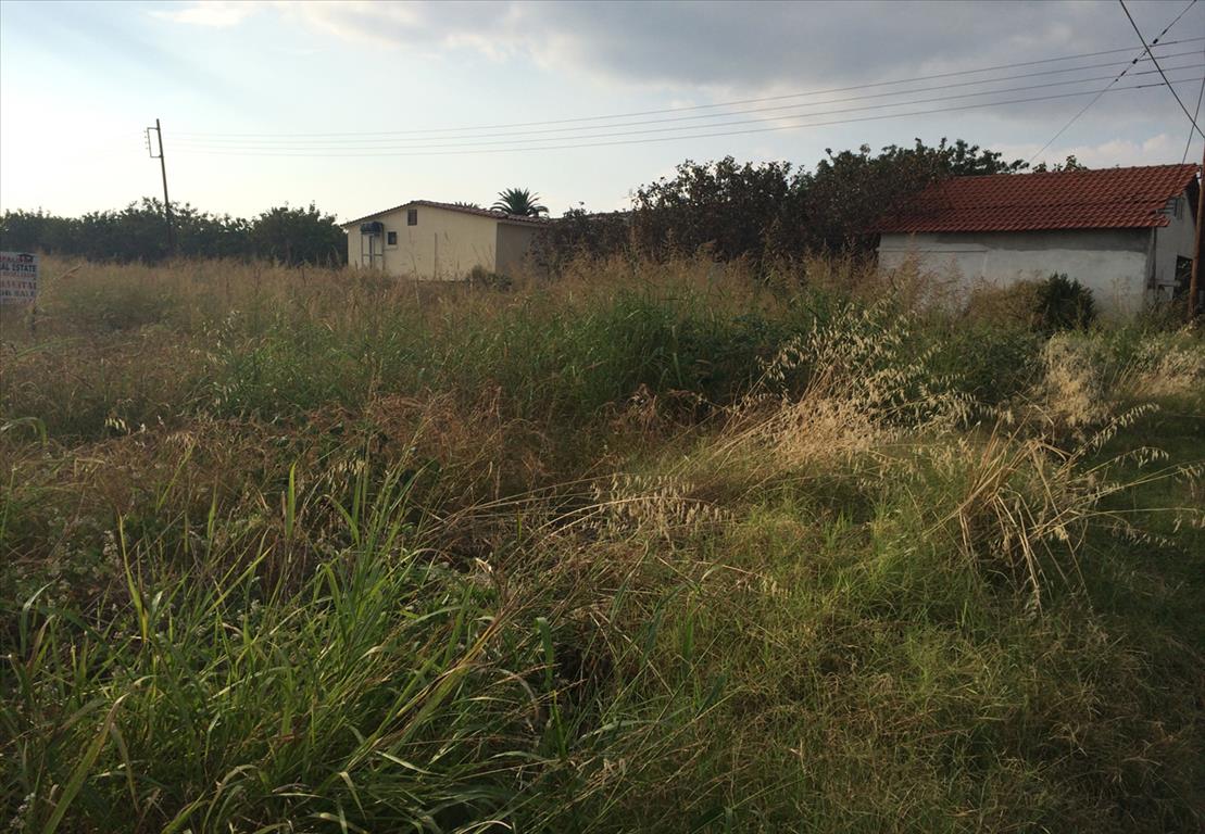 Продажа - Земельный участок 6930 m² на Кассандре (Халкидики)