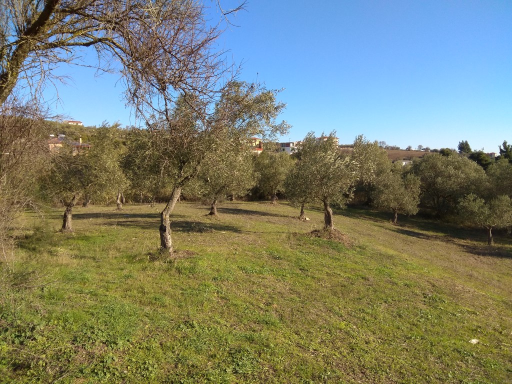 Продажа - Земельный участок 4646 m² на Ситонии (Халкидики)