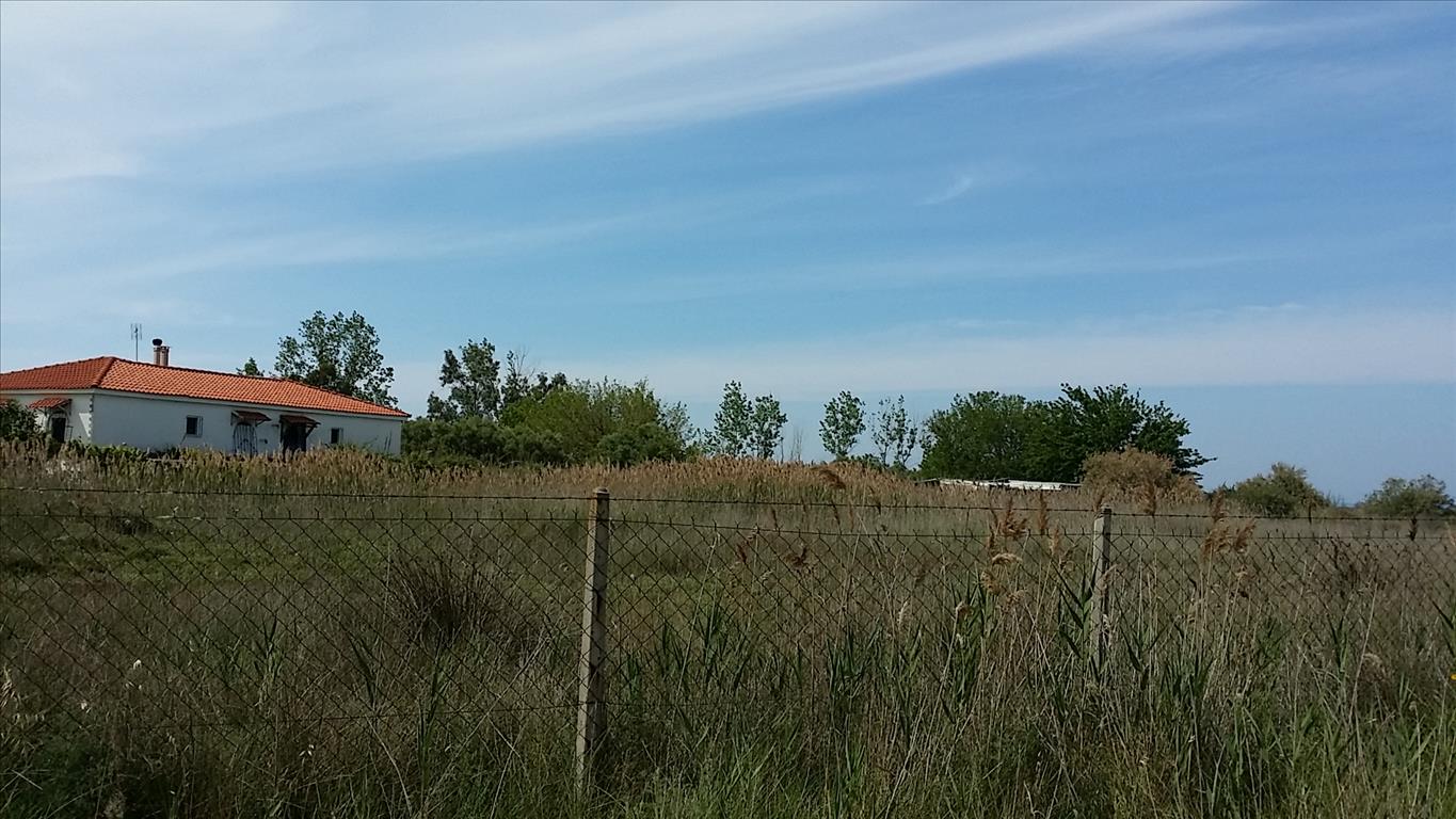 Продажа - Земельный участок 2250 m² на Ситонии (Халкидики)