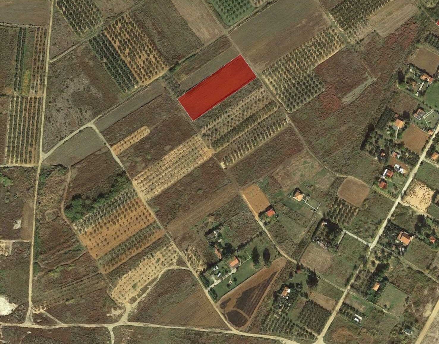 Продажа - Земельный участок 4550 m² в Халкидиках