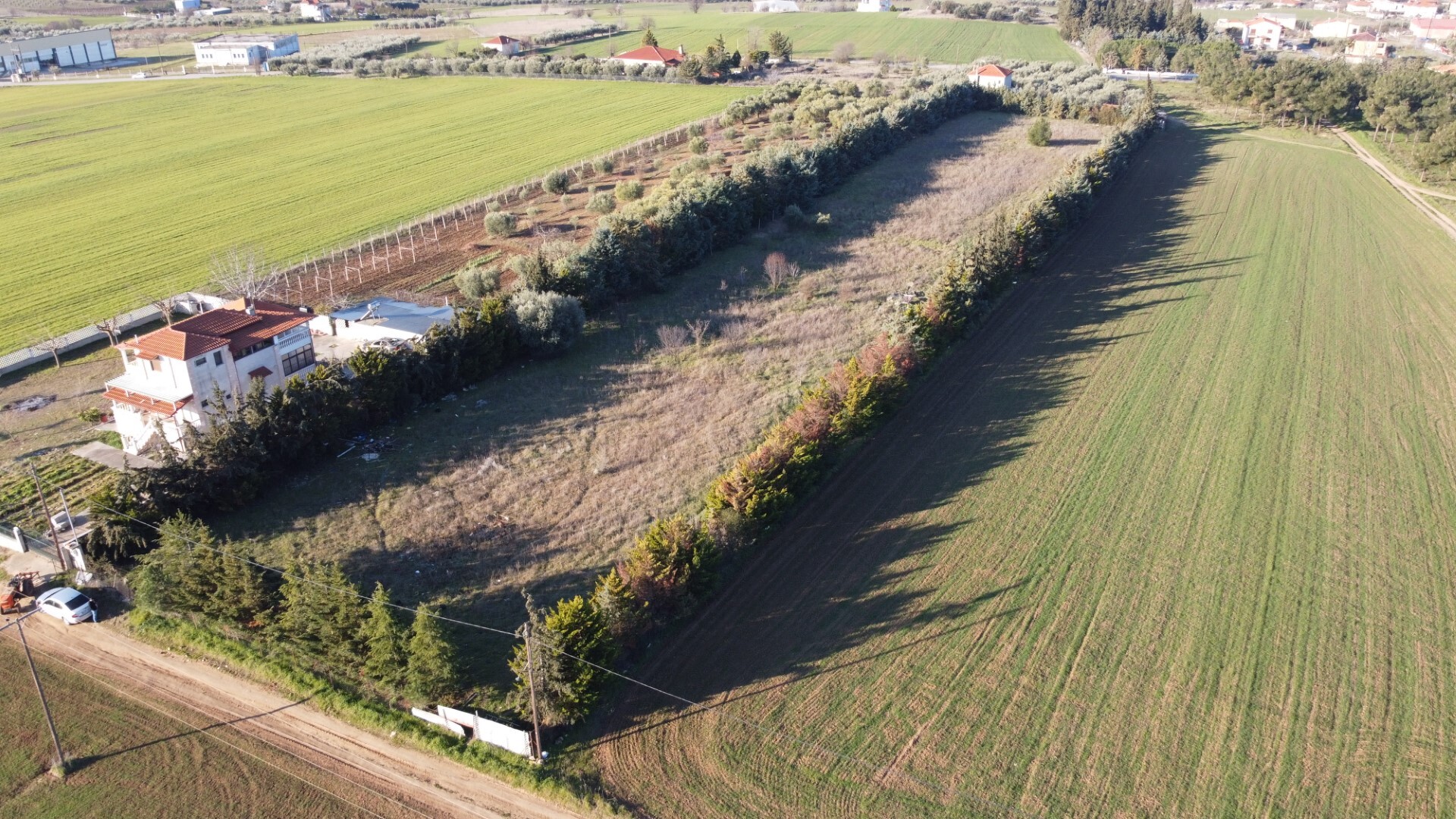Продажа - Земельный участок 7600 m² в Халкидиках
