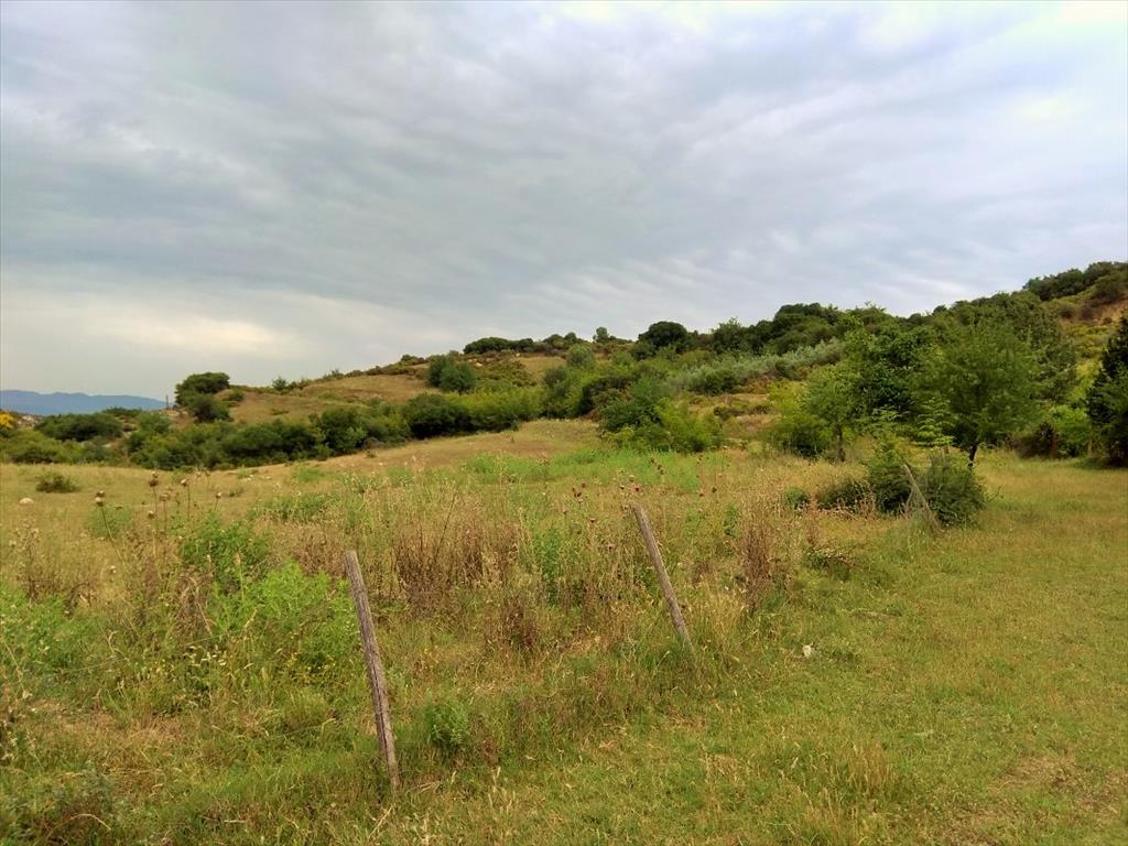 Продажа - Земельный участок 4750 m² на Афоне (Халкидики)