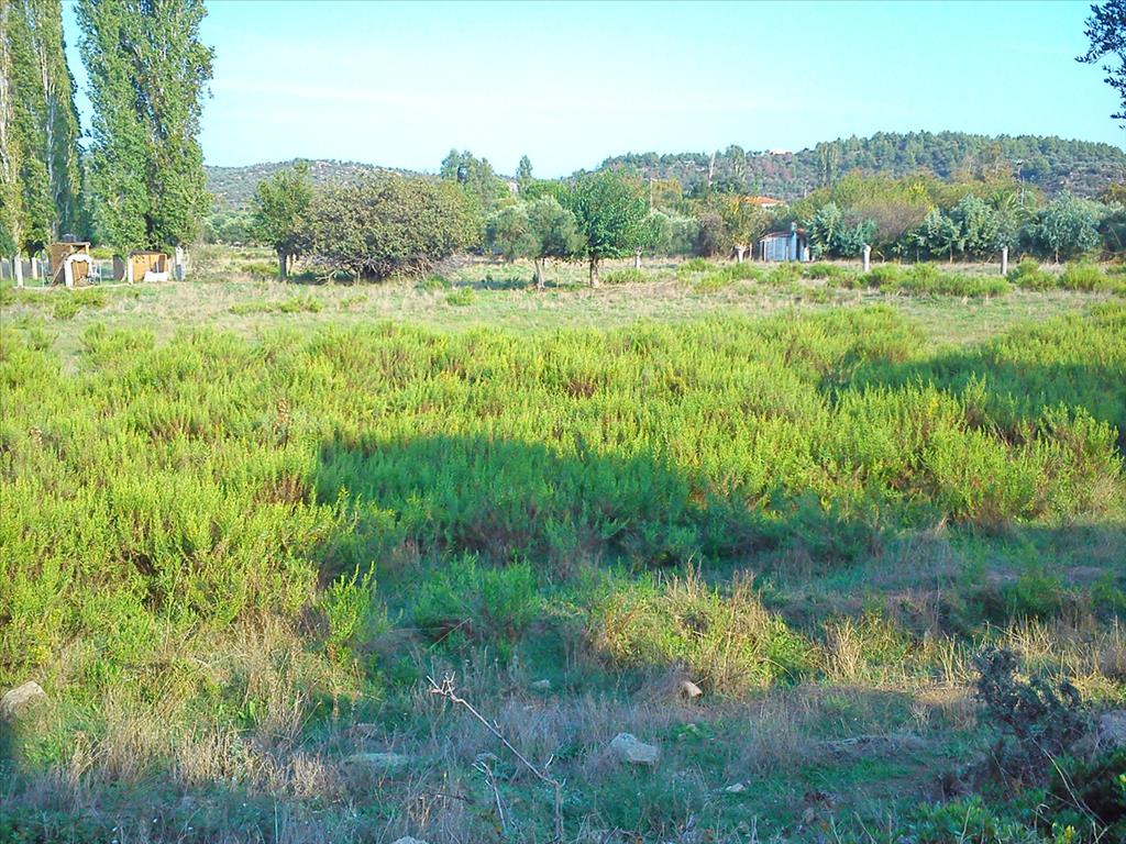 Продажа - Земельный участок 3200 m² на Ситонии (Халкидики)