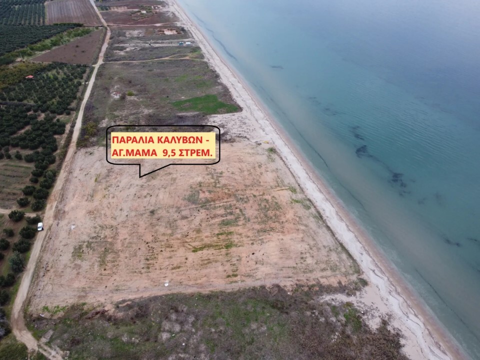 Продажа - Земельный участок 9500 m² в Халкидиках
