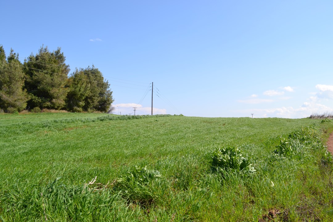 Продажа - Земельный участок 3330 m² на Кассандре (Халкидики)