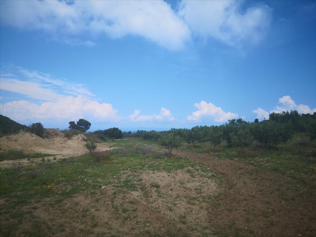 Продажа - Земельный участок 18500 m² на Кассандре (Халкидики)