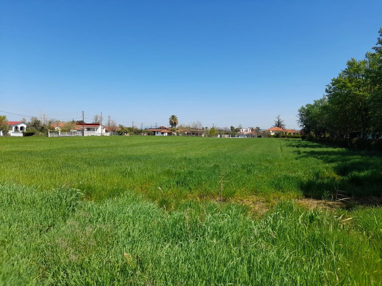 Продажа - Земельный участок 8250 m² в Халкидиках