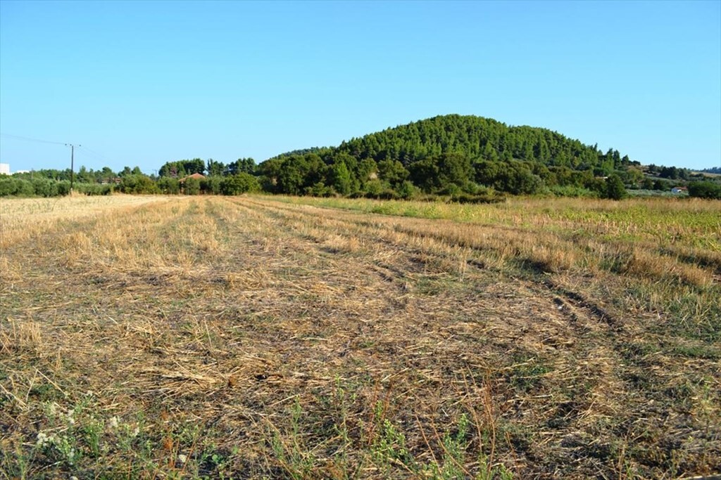 Продажа - Земельный участок 8250 m² на Кассандре (Халкидики)