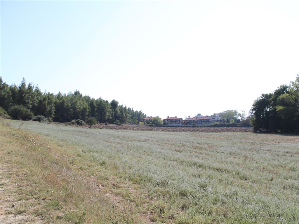 Продажа - Земельный участок 13500 m² на Кассандре (Халкидики)