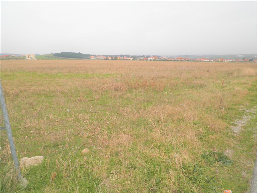 Продажа - Земельный участок 5512 m² в Халкидиках