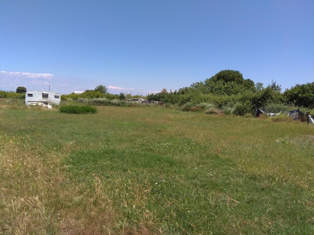 Продажа - Земельный участок 16800 m² на Афоне (Халкидики)