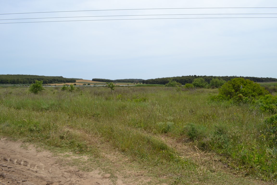 Продажа - Земельный участок 3200 m² на Кассандре (Халкидики)