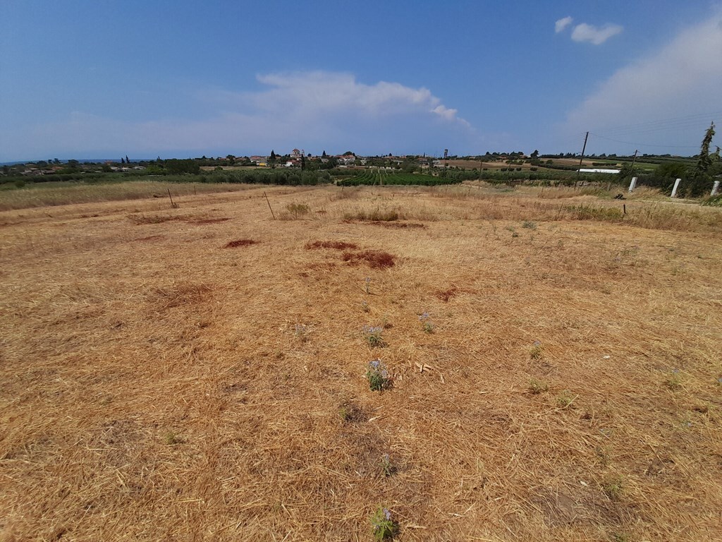 Продажа - Земельный участок 468 m² в Халкидиках