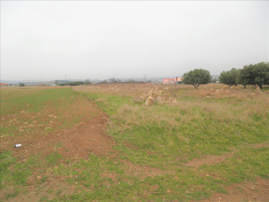 Продажа - Земельный участок 4946 m² в Халкидиках