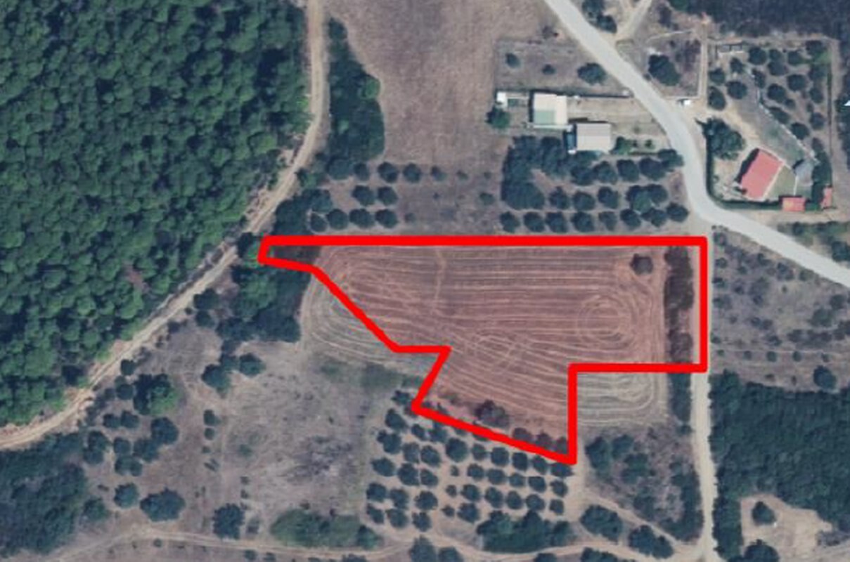 Продажа - Земельный участок 4500 m² на Афоне (Халкидики)