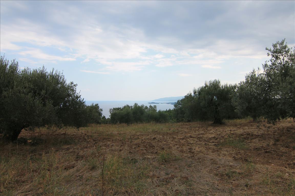 Продажа - Земельный участок 4600 m² на Ситонии (Халкидики)