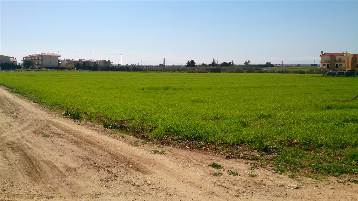 Продажа - Земельный участок 8800 m² на Ситонии (Халкидики)