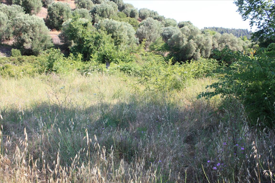 Продажа - Земельный участок 2000 m² на Ситонии (Халкидики)