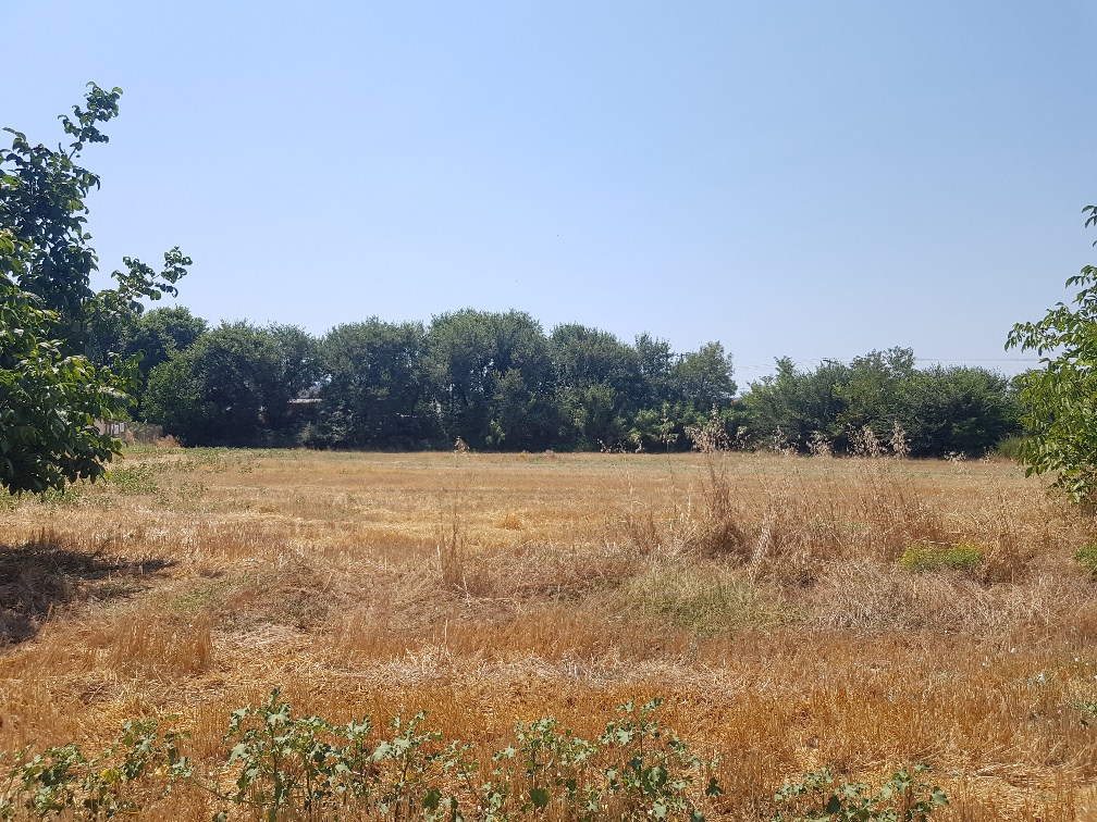 Продажа - Земельный участок 7500 m² на Кассандре (Халкидики)