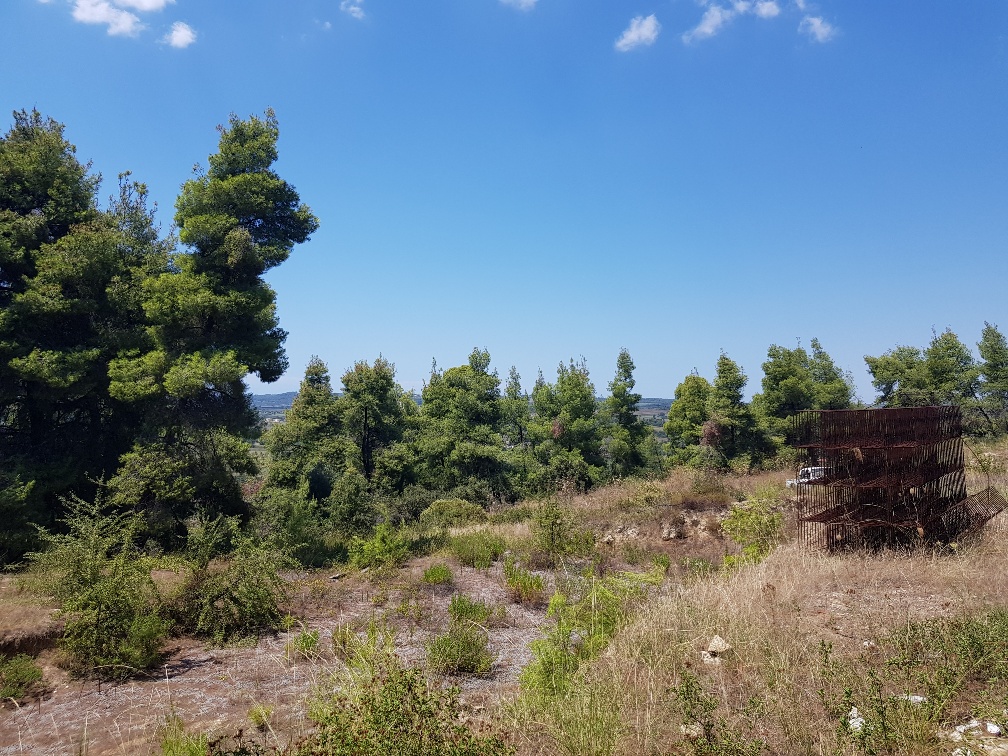 Продажа - Земельный участок 11000 m² на Кассандре (Халкидики)